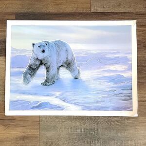 Pat Mcmanus polar bear giclee on canvas print 164/750